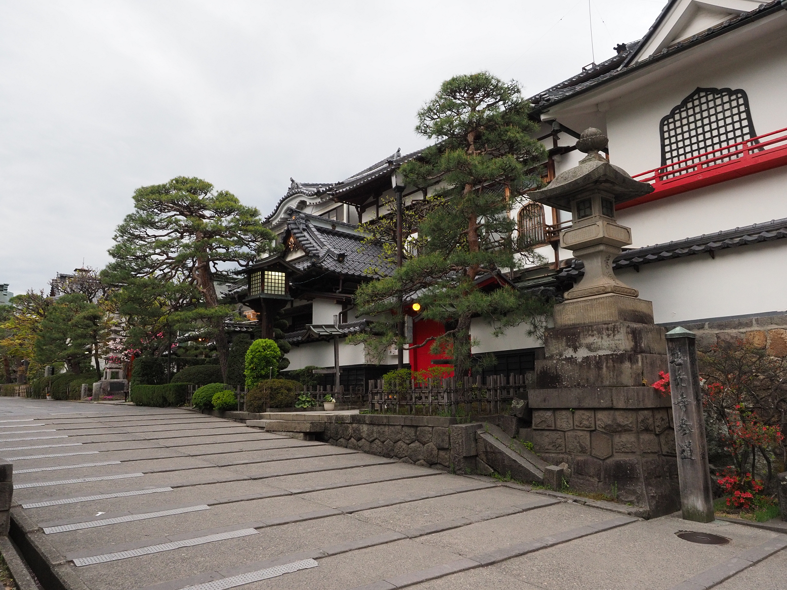 P4290374.jpg