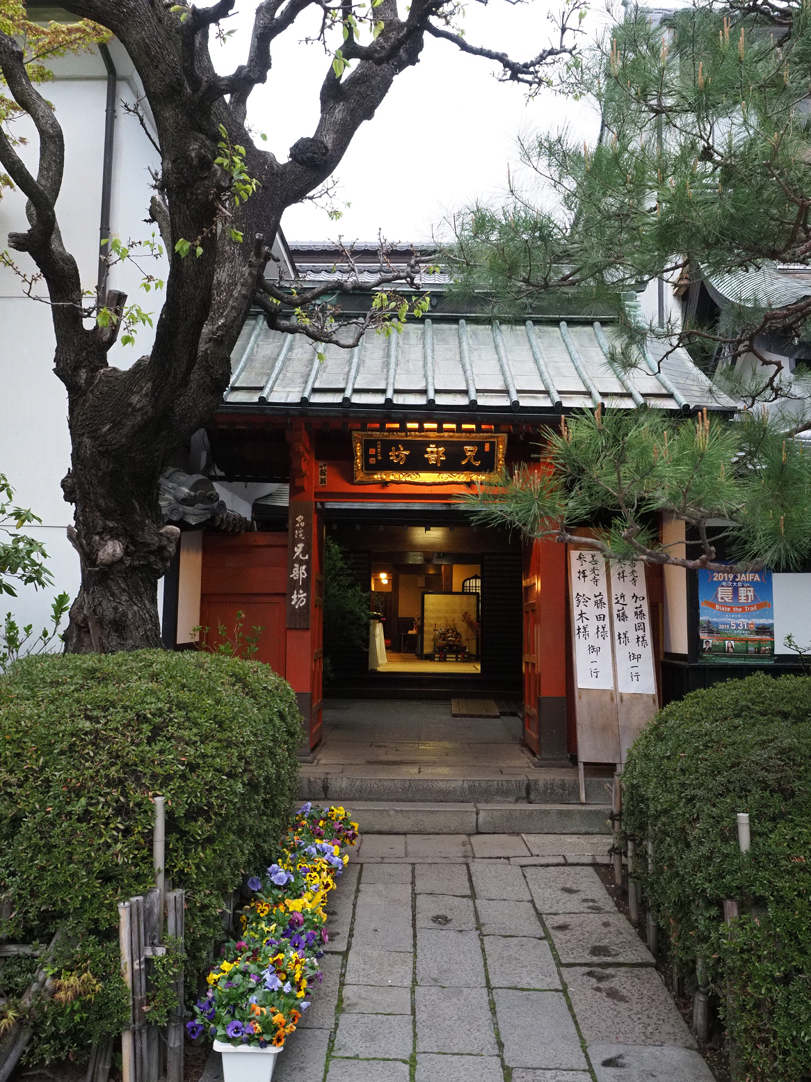 P4290375.jpg