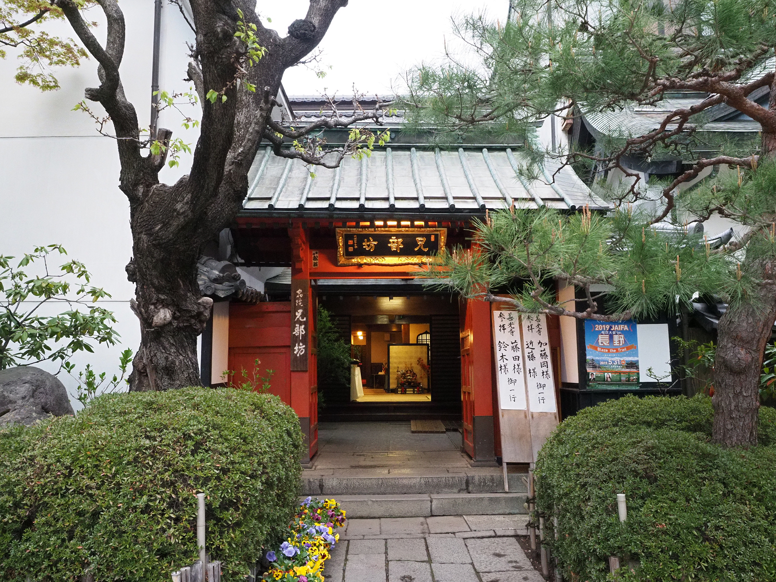 P4290376.jpg