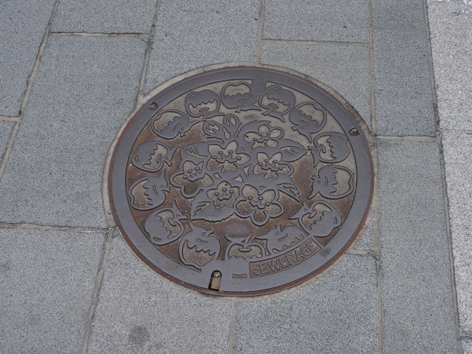 P4290392.jpg