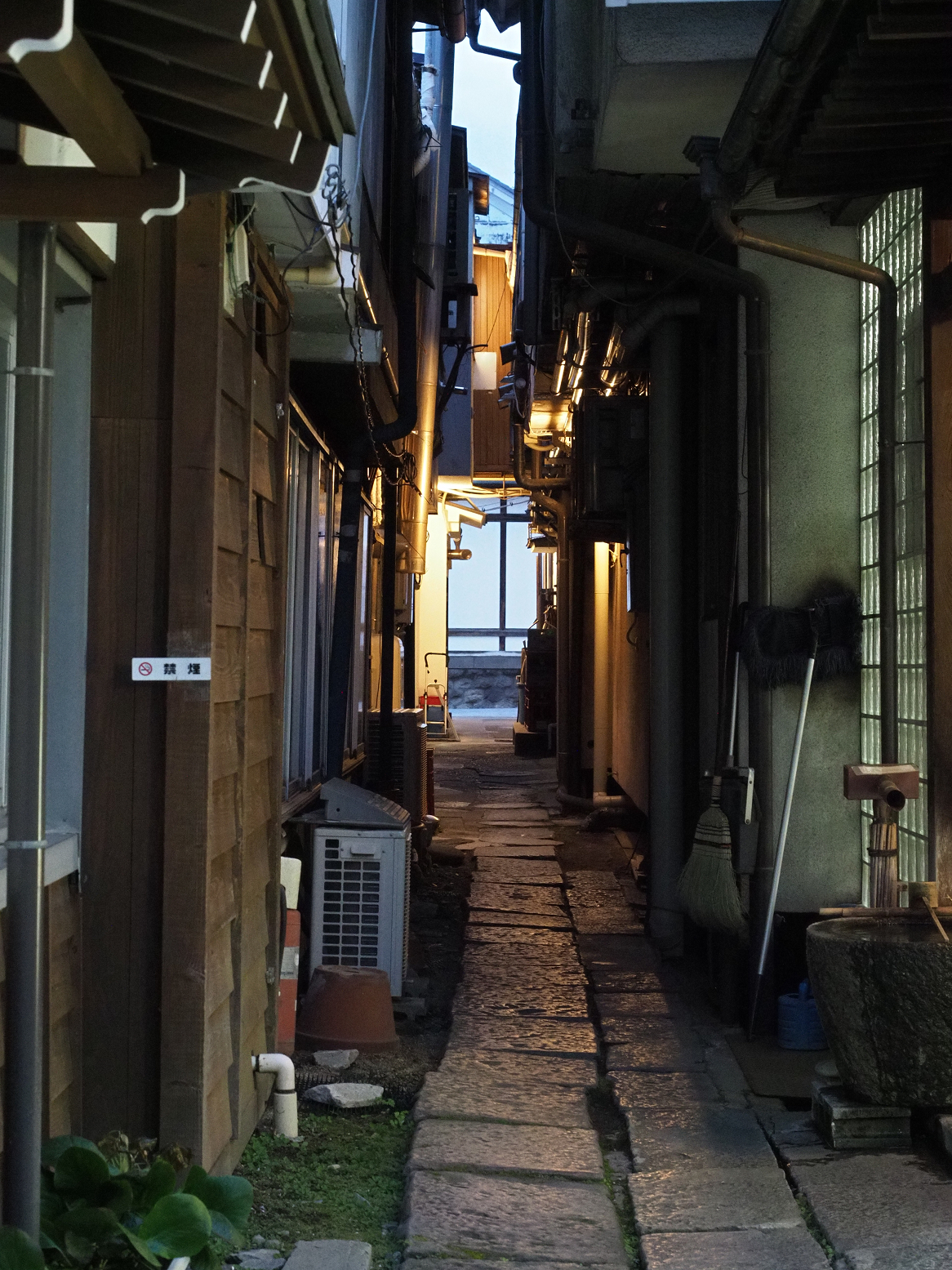 P4290420.jpg