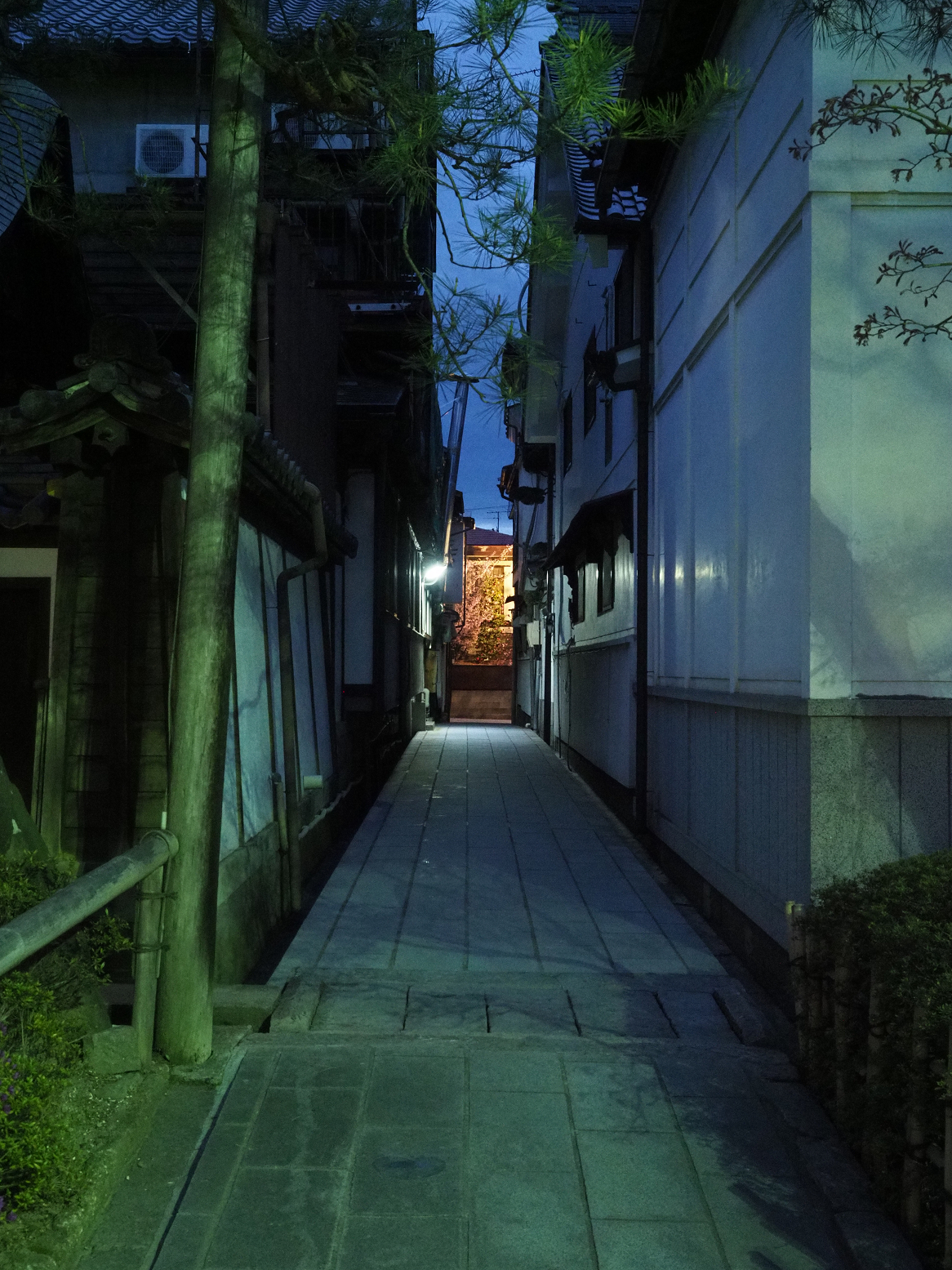 P4290451.jpg