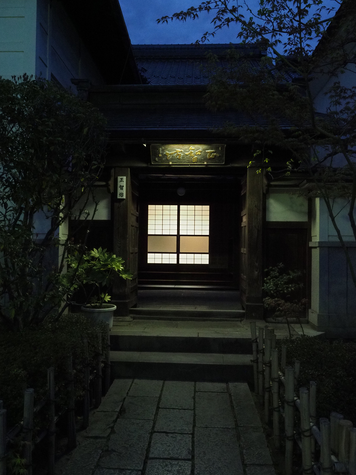 P4290452.jpg