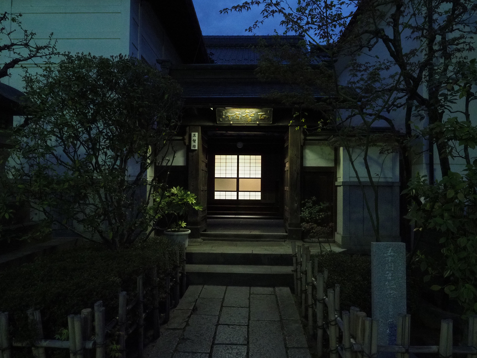 P4290453.jpg
