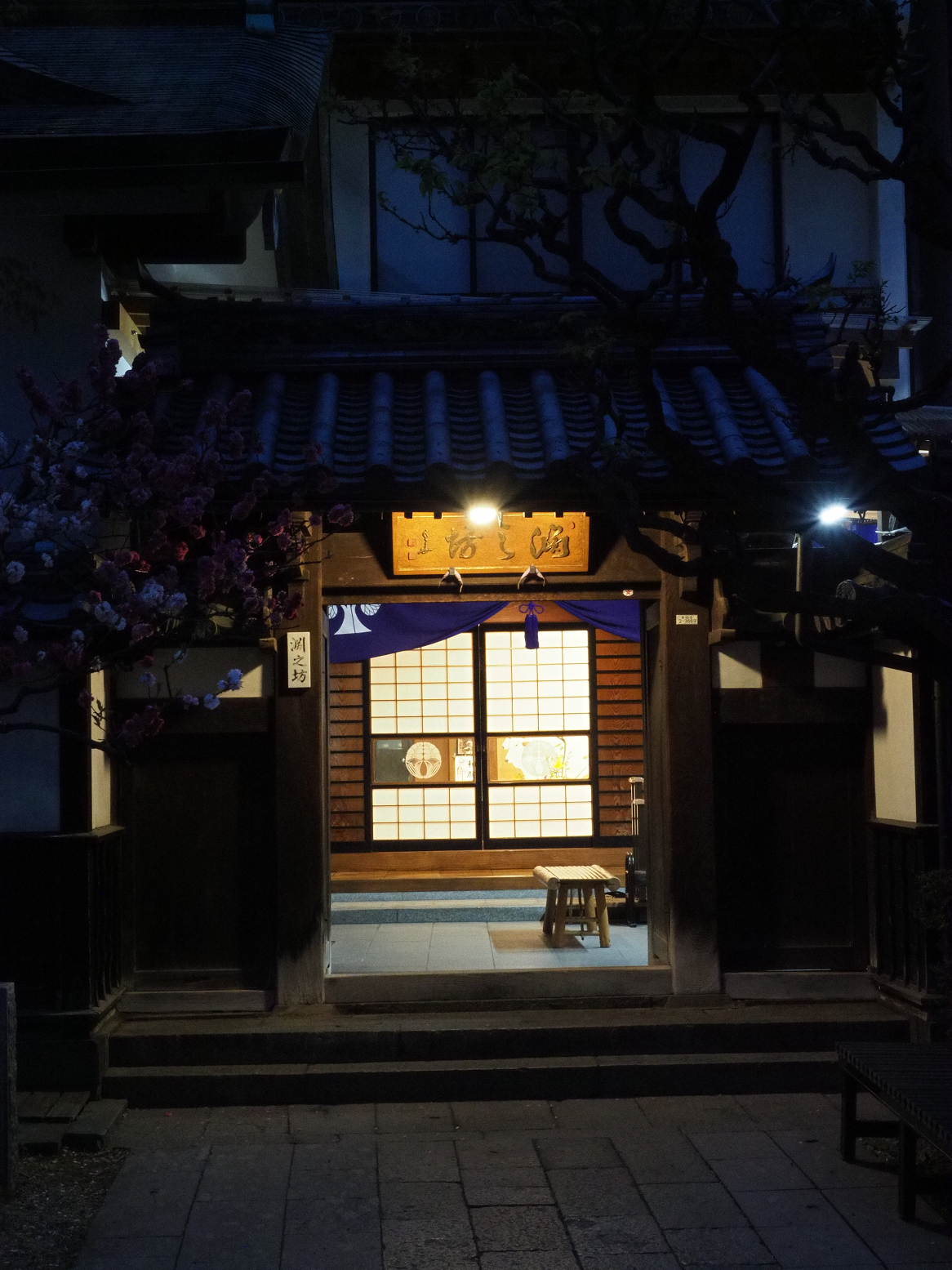 P4290462.jpg