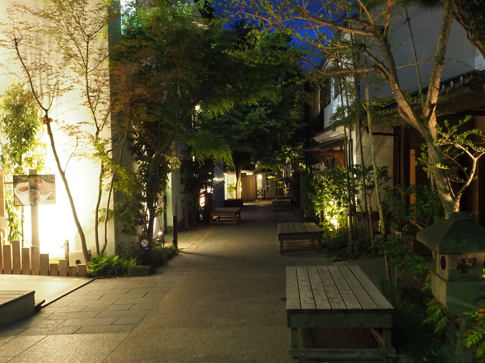 P4290493.jpg
