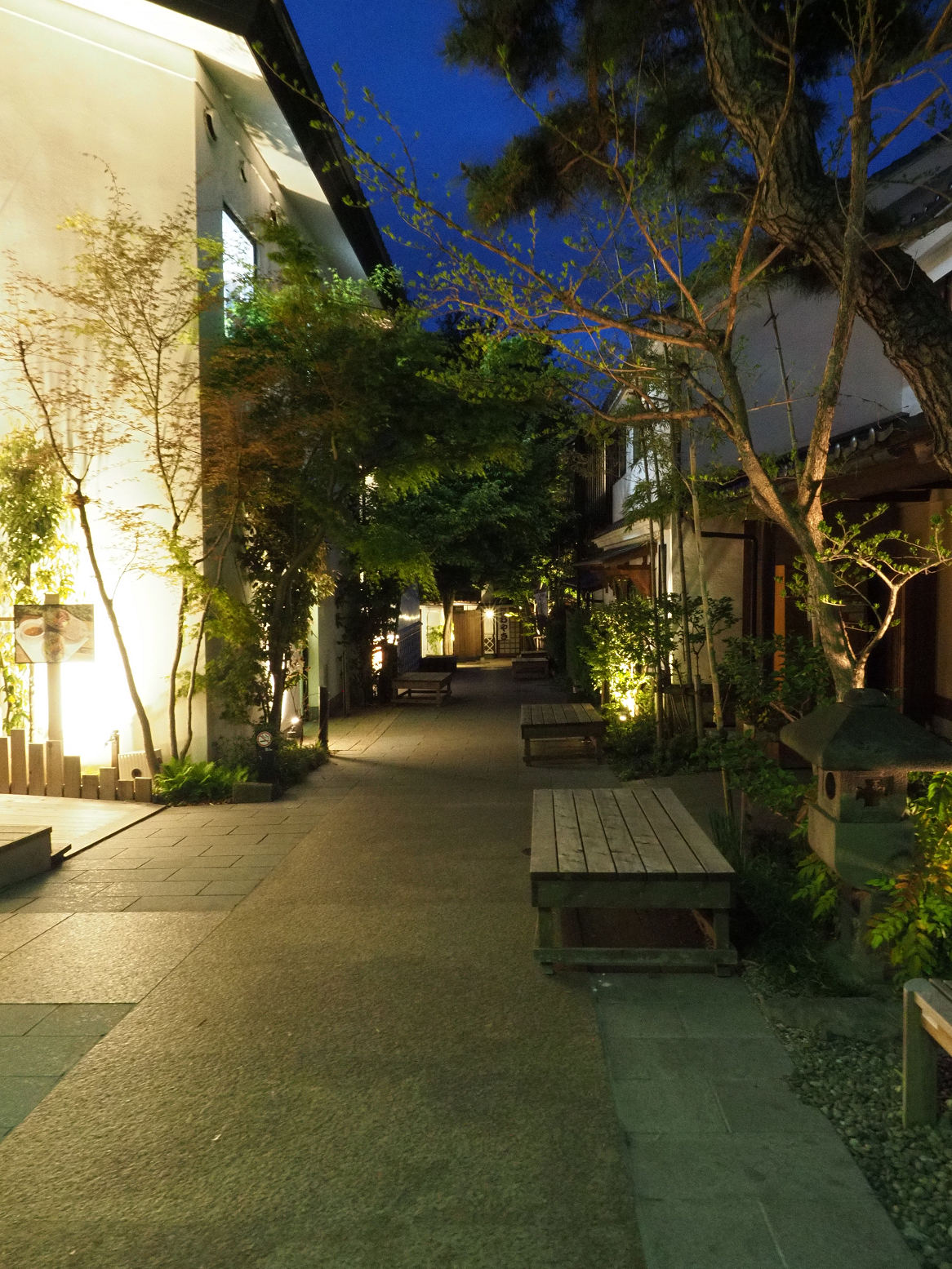 P4290494.jpg