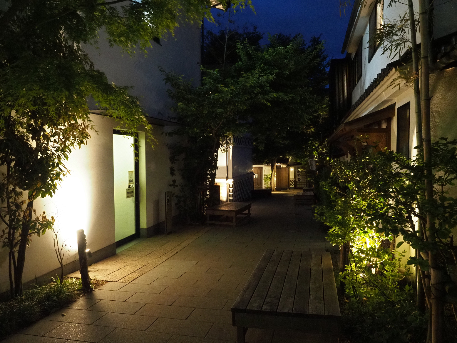 P4290496.jpg
