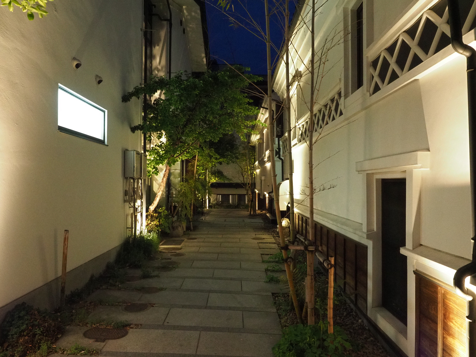 P4290500.jpg