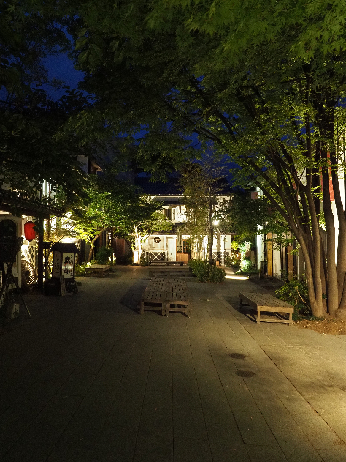 P4290502.jpg
