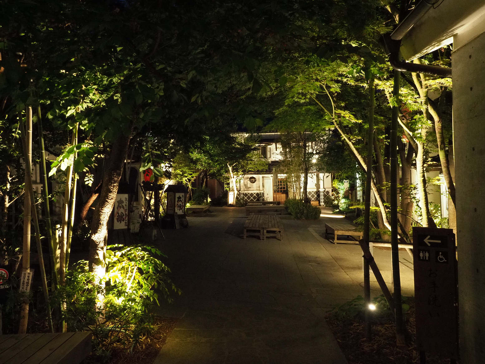 P4290503.jpg