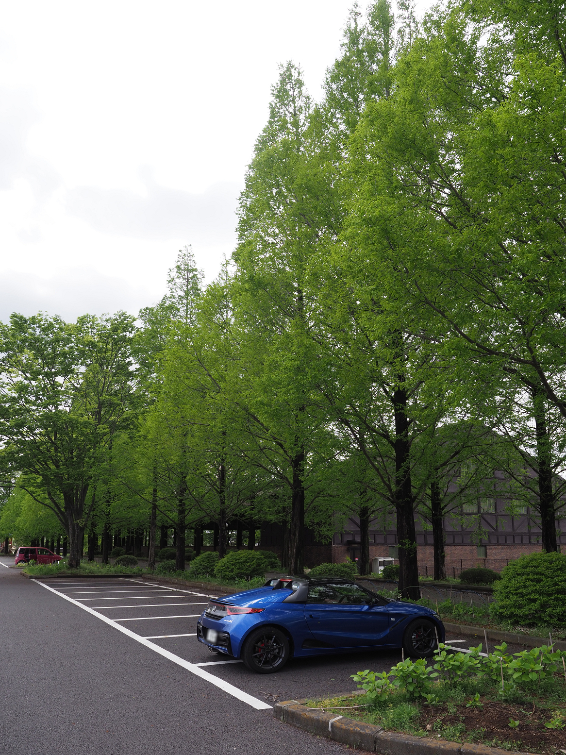 P5020520.jpg