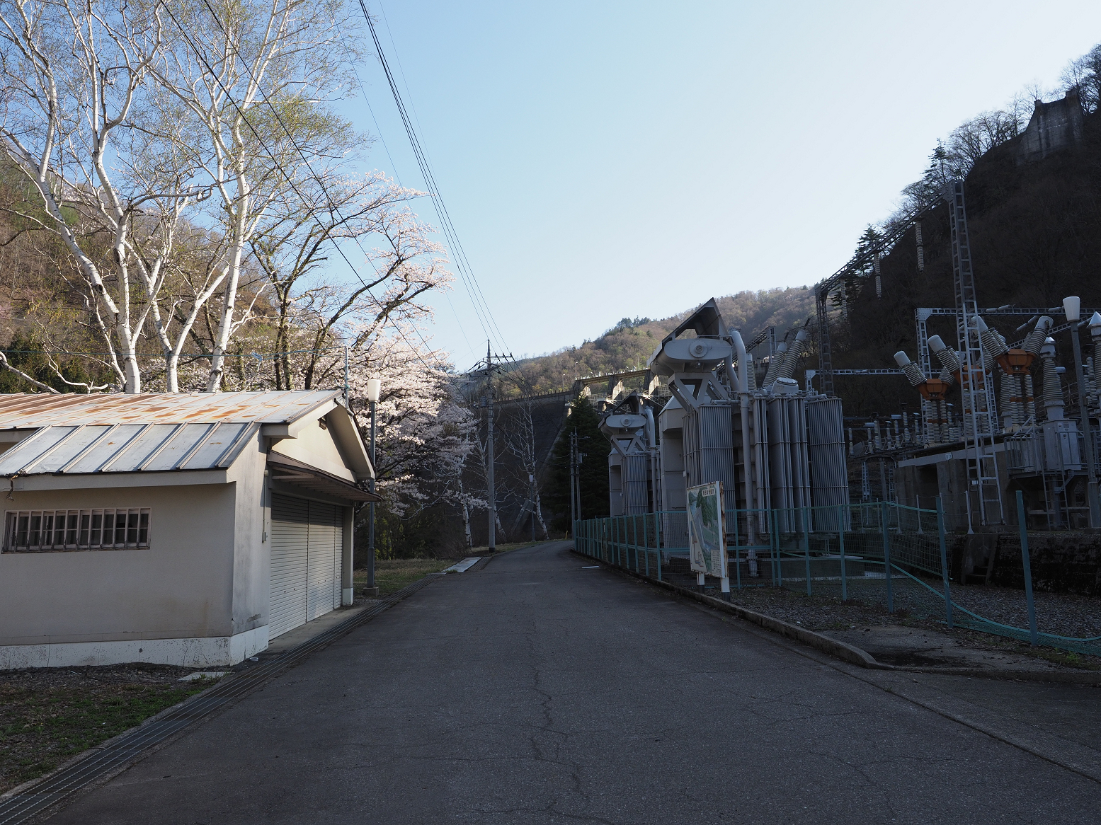 P5050172.jpg
