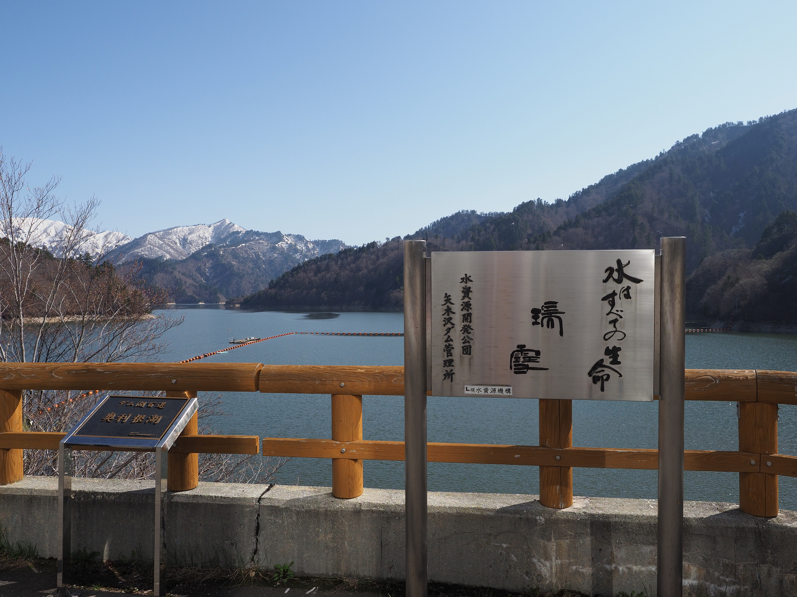 P5050181.jpg