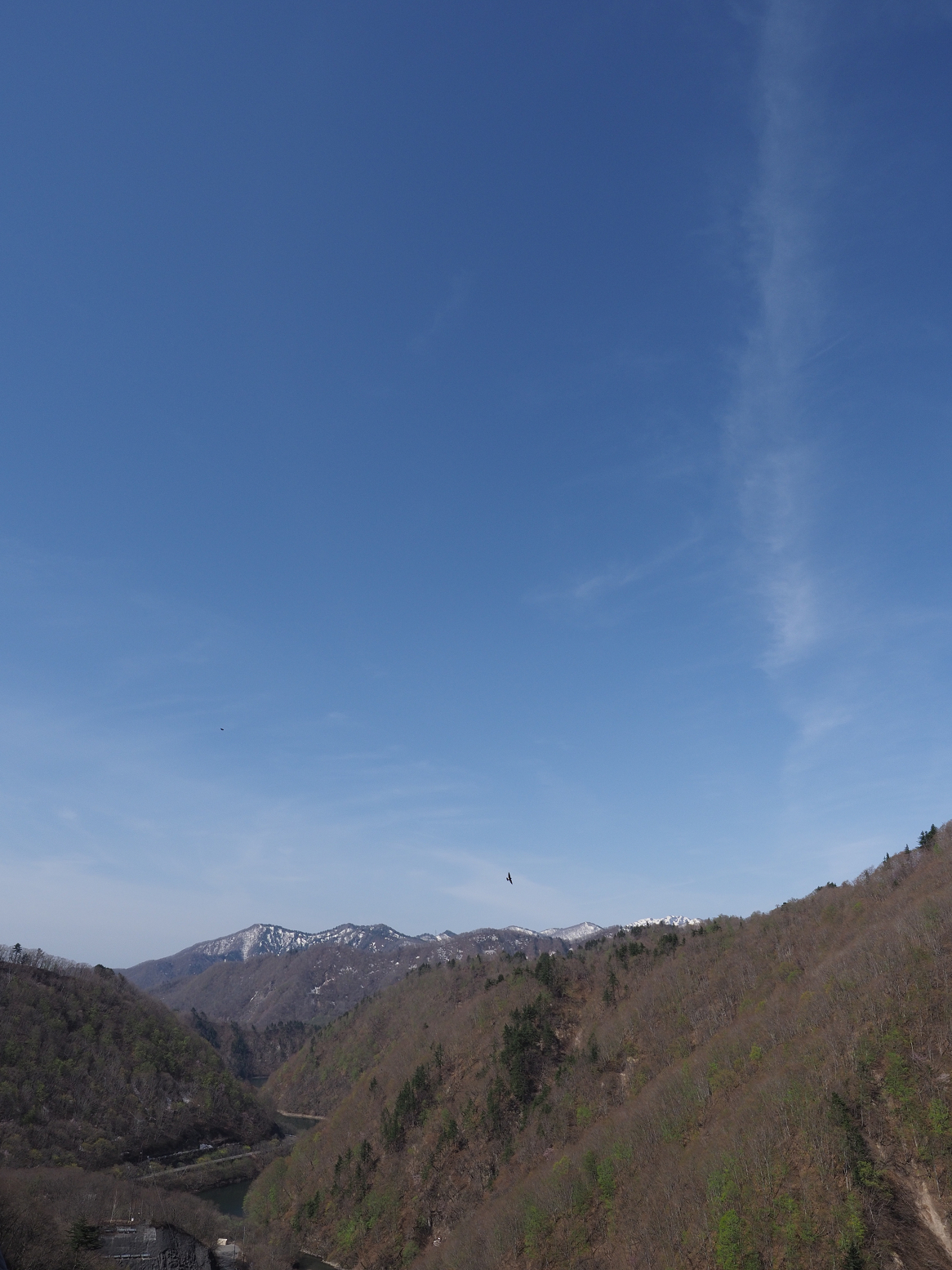 P5050207.jpg