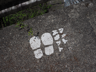 P5050300_thumb.png