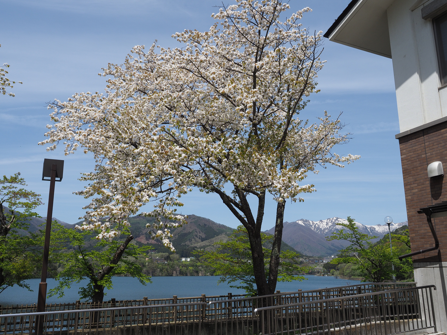 P5050342.jpg