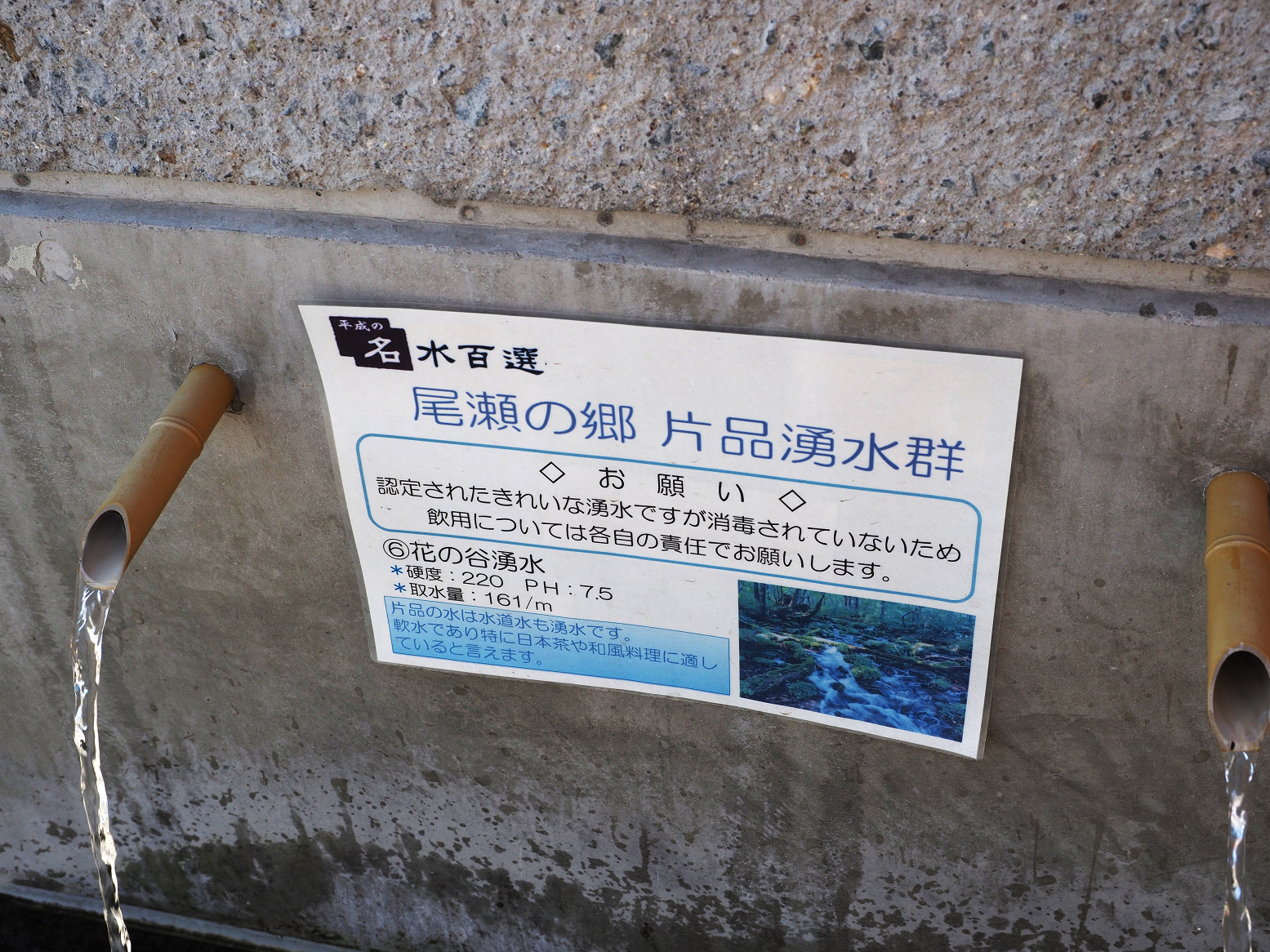 P5050390.jpg
