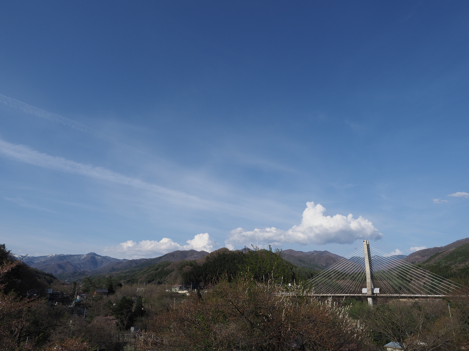 P5050393.jpg