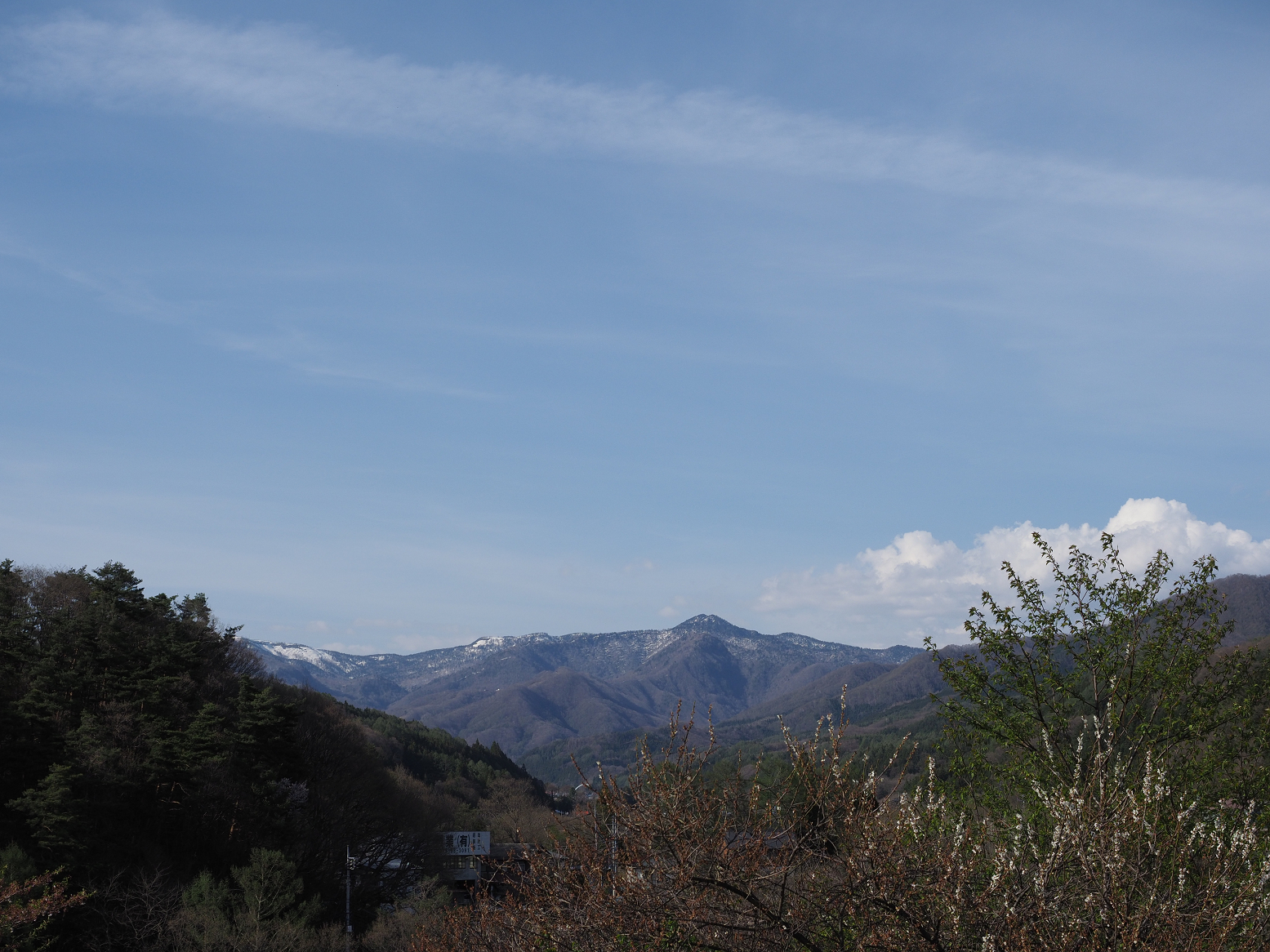 P5050397.jpg
