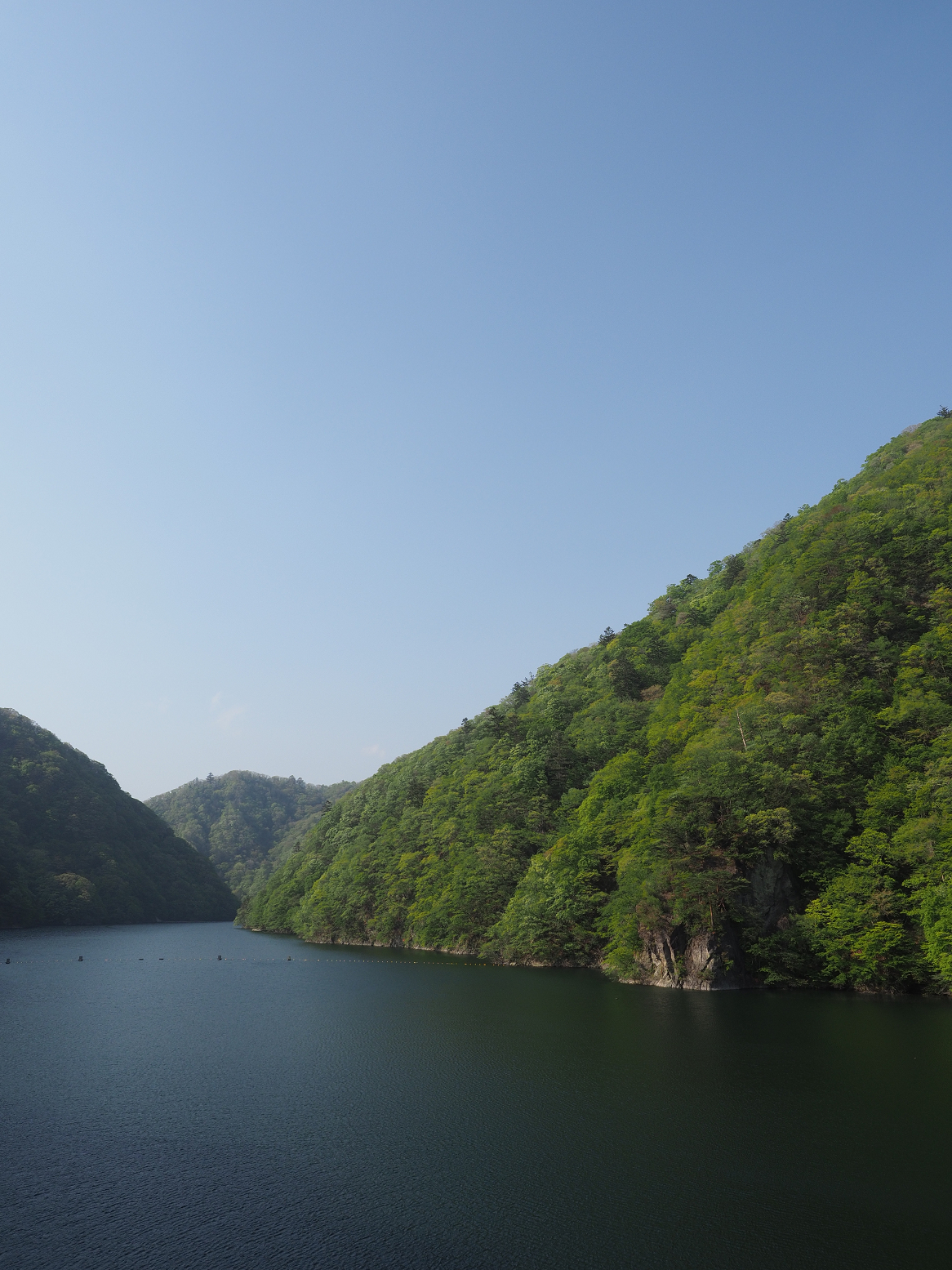 P5120546.jpg