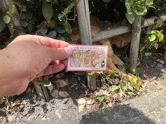 IMG_3369_thumb.png
