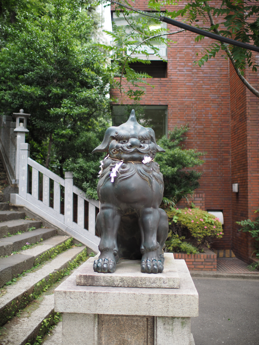 P5280004.jpg