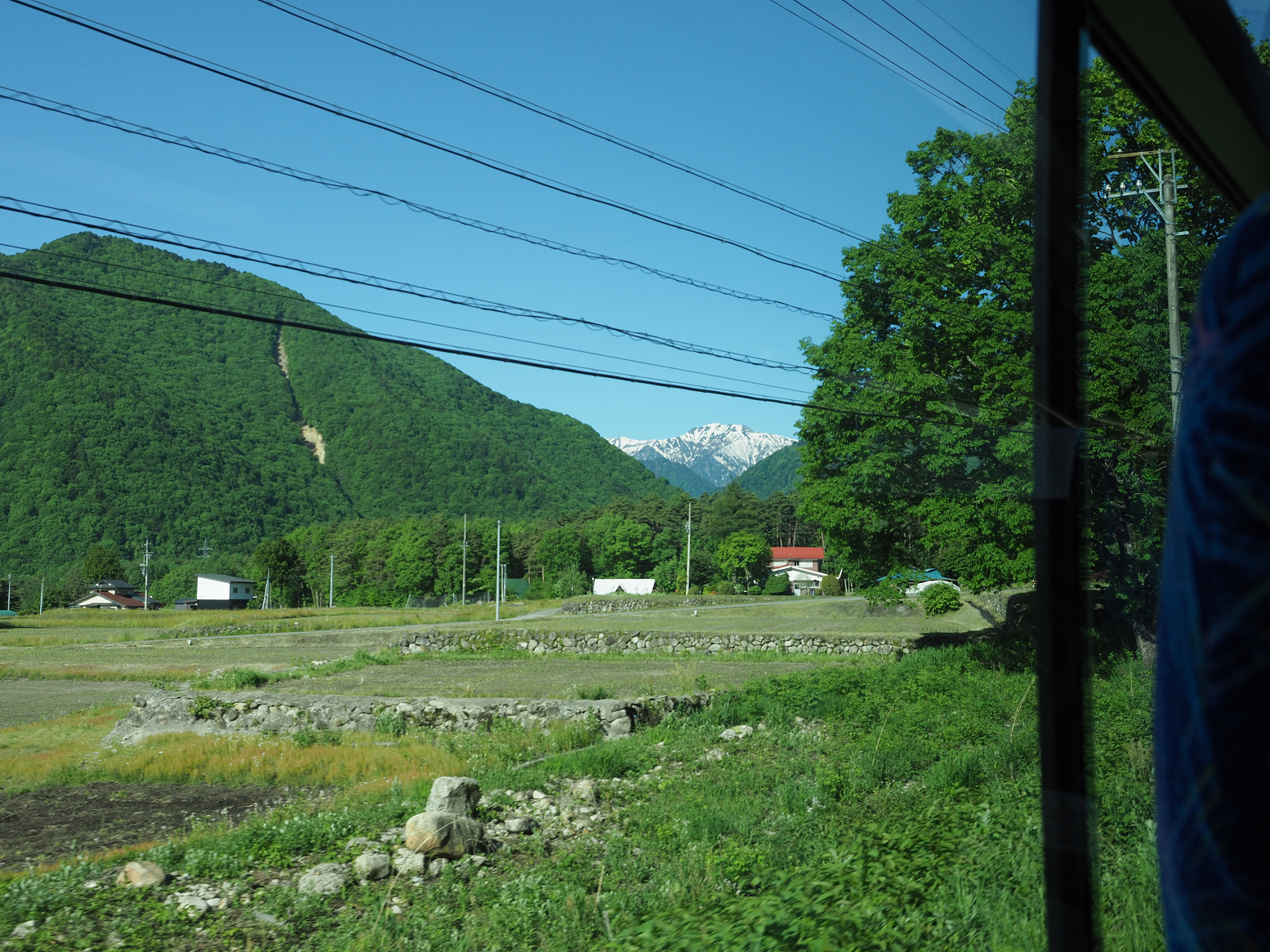 P5300031.jpg