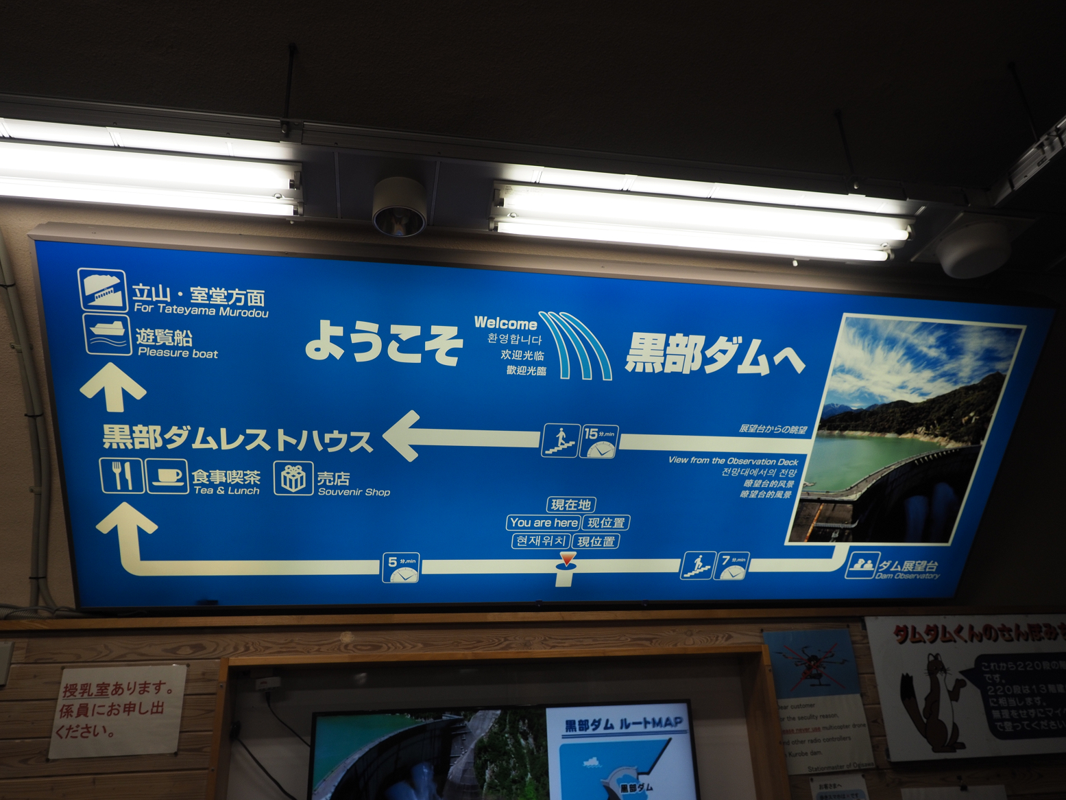 P5300070.jpg