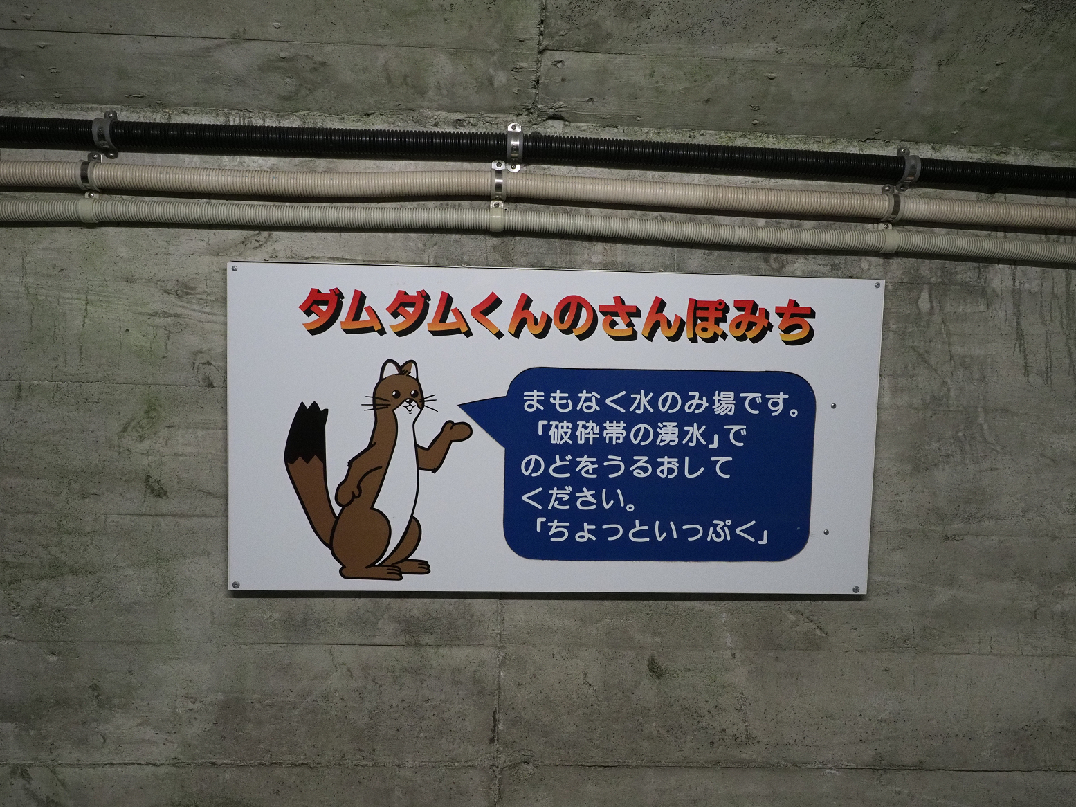 P5300074.jpg