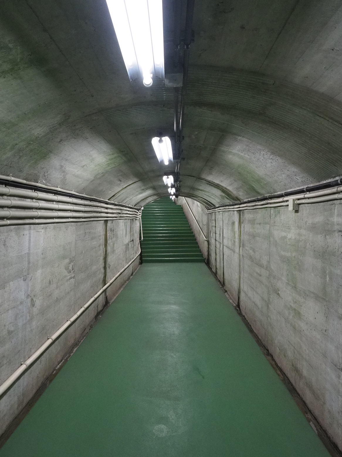 P5300082.jpg
