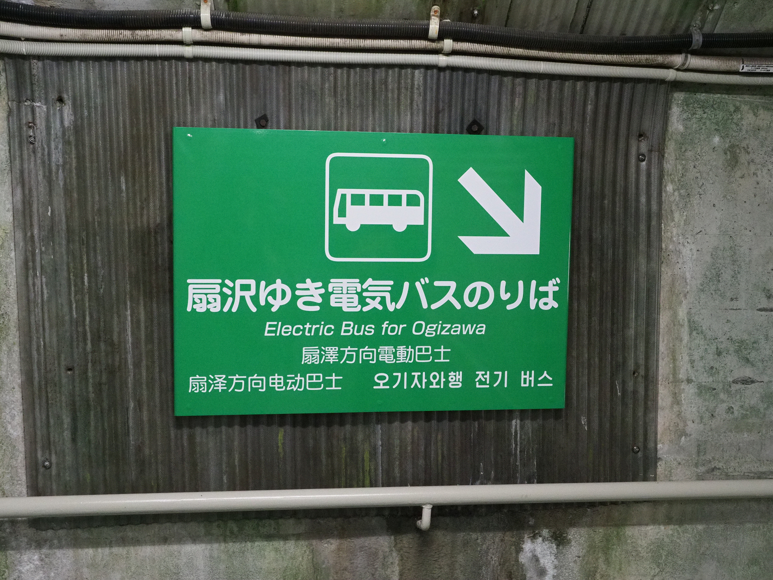 P5300083.jpg