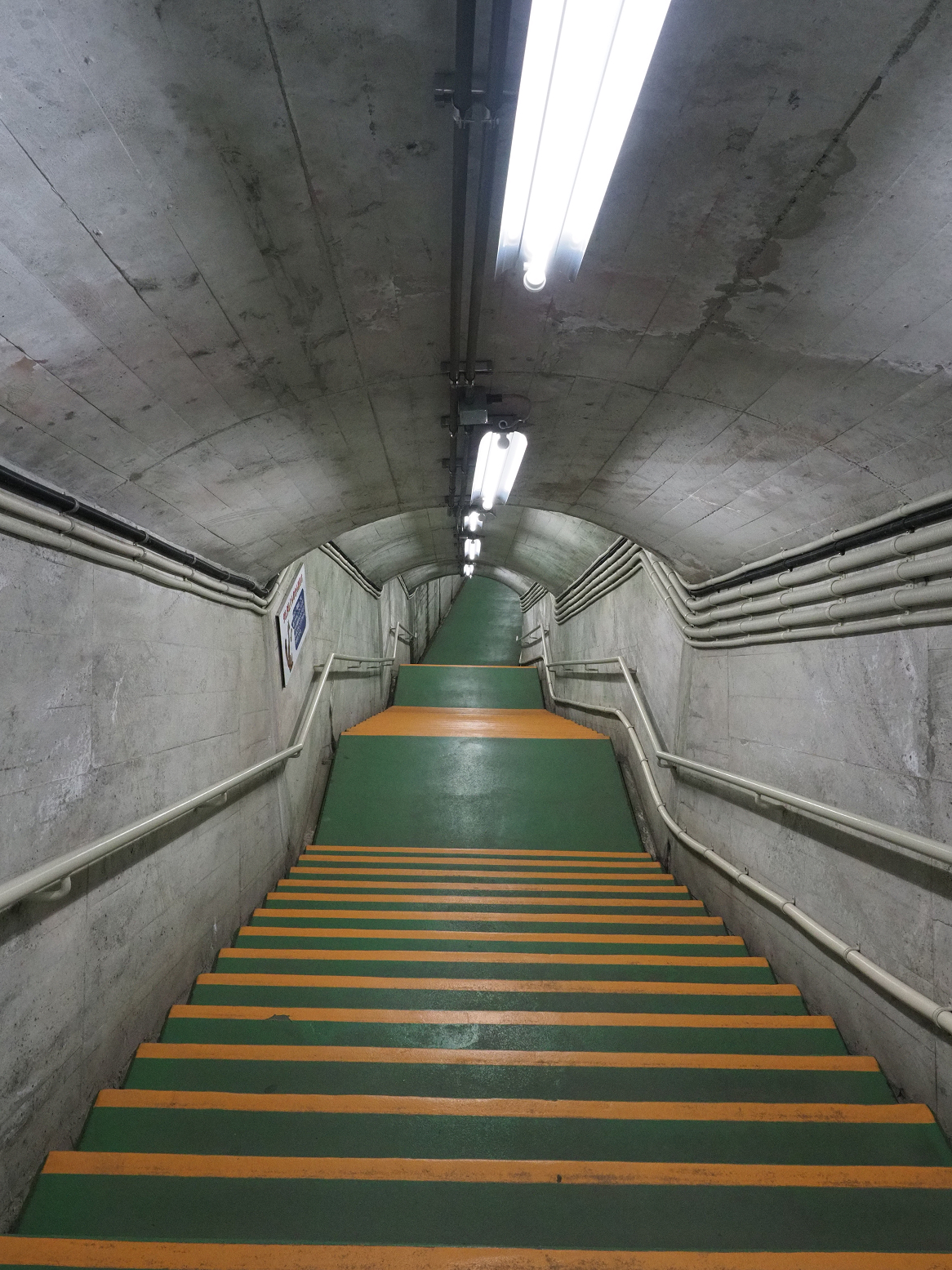 P5300091.jpg