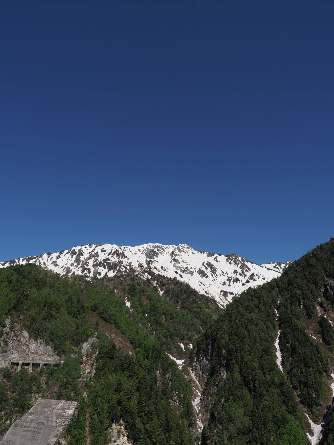 P5300110.jpg