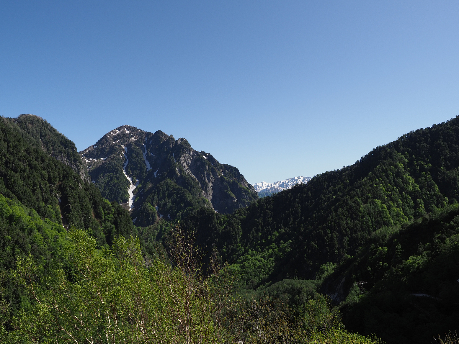 P5300111.jpg