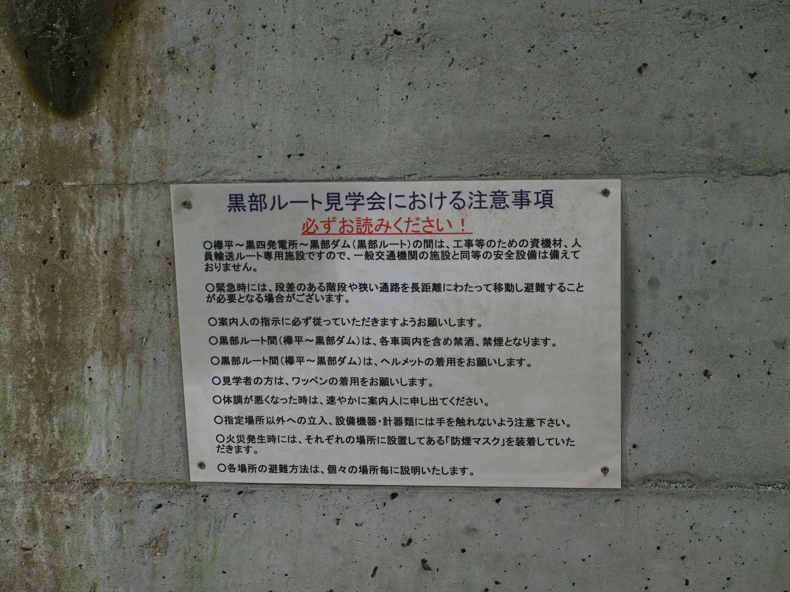 P5300279.jpg