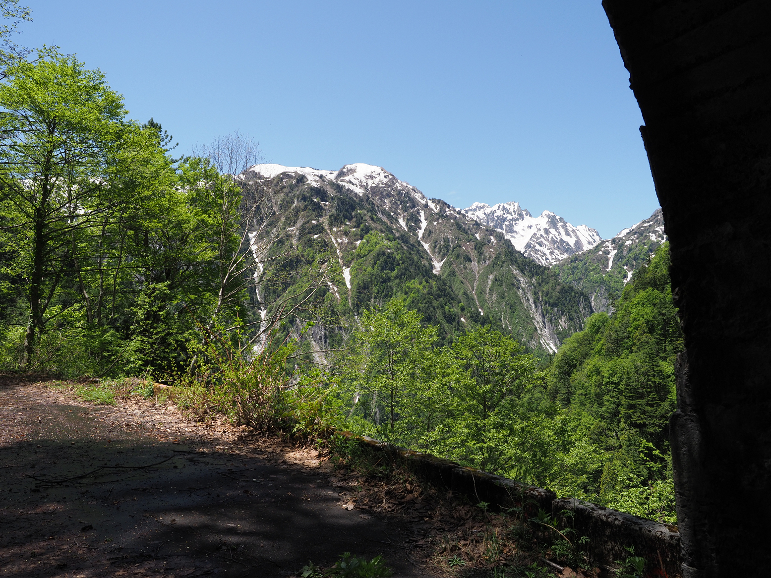 P5300321.jpg