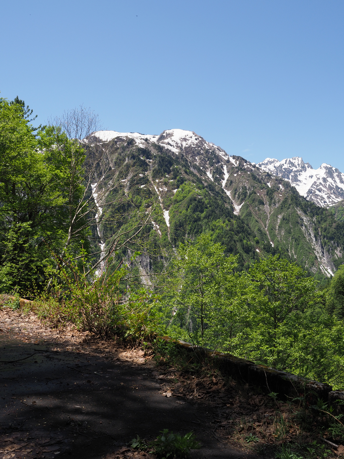 P5300322.jpg