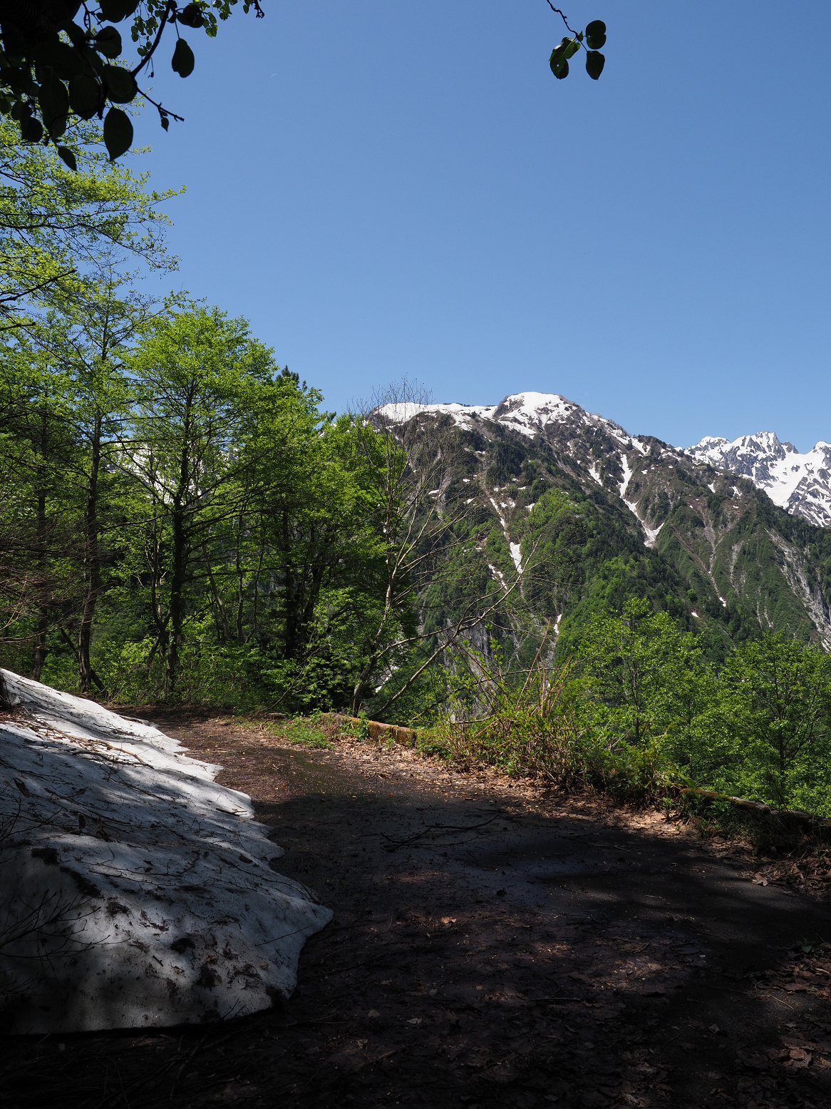 P5300333.jpg
