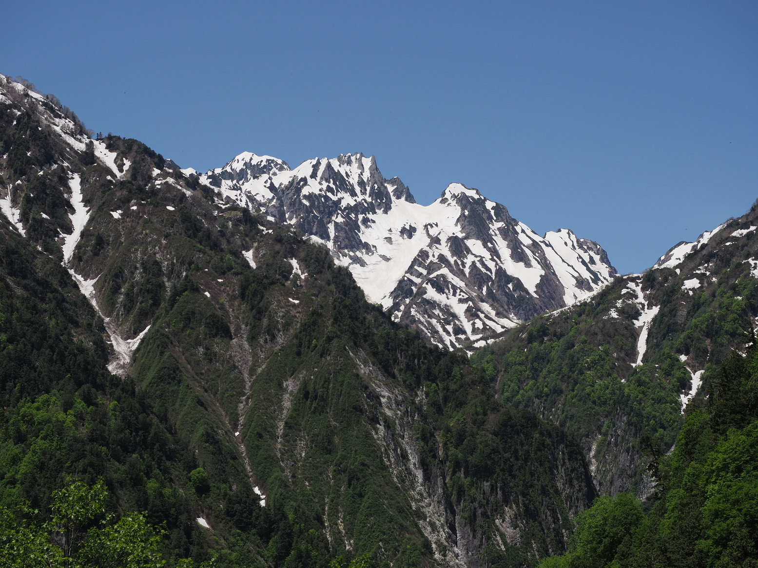 P5300334.jpg
