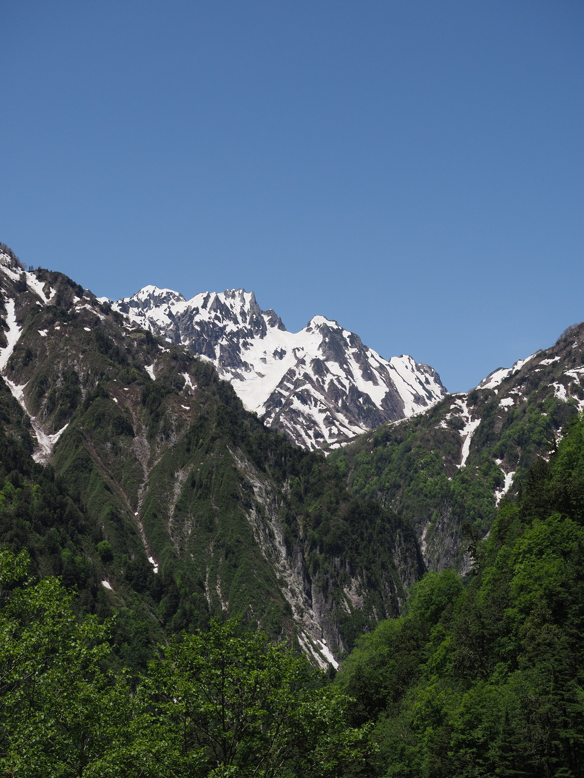P5300337.jpg