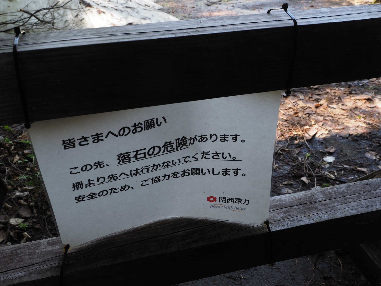 P5300339.jpg