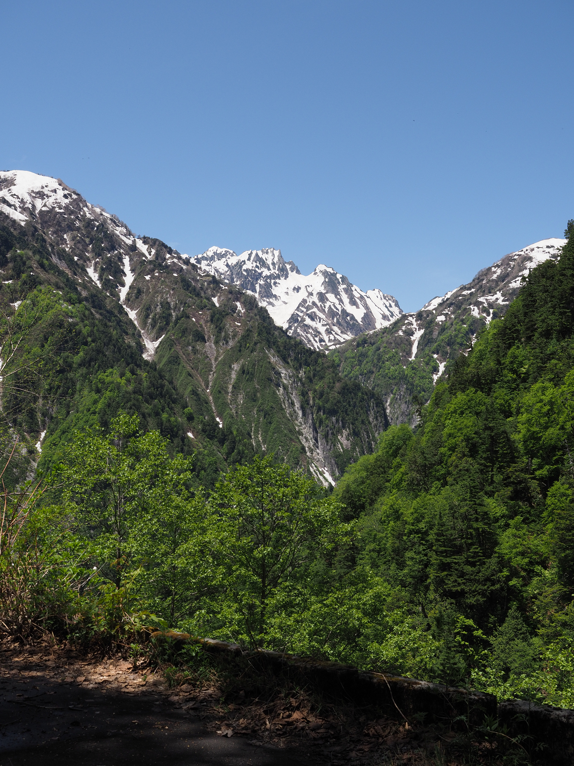 P5300342.jpg