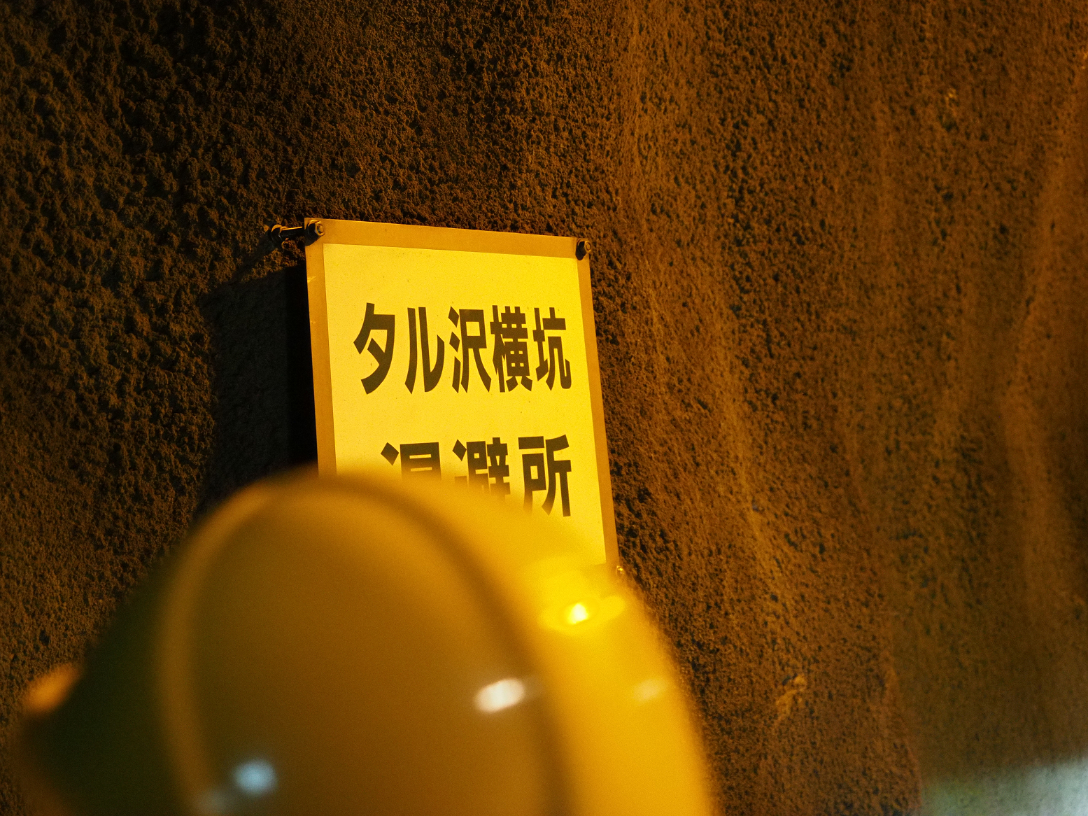 P5300361.jpg