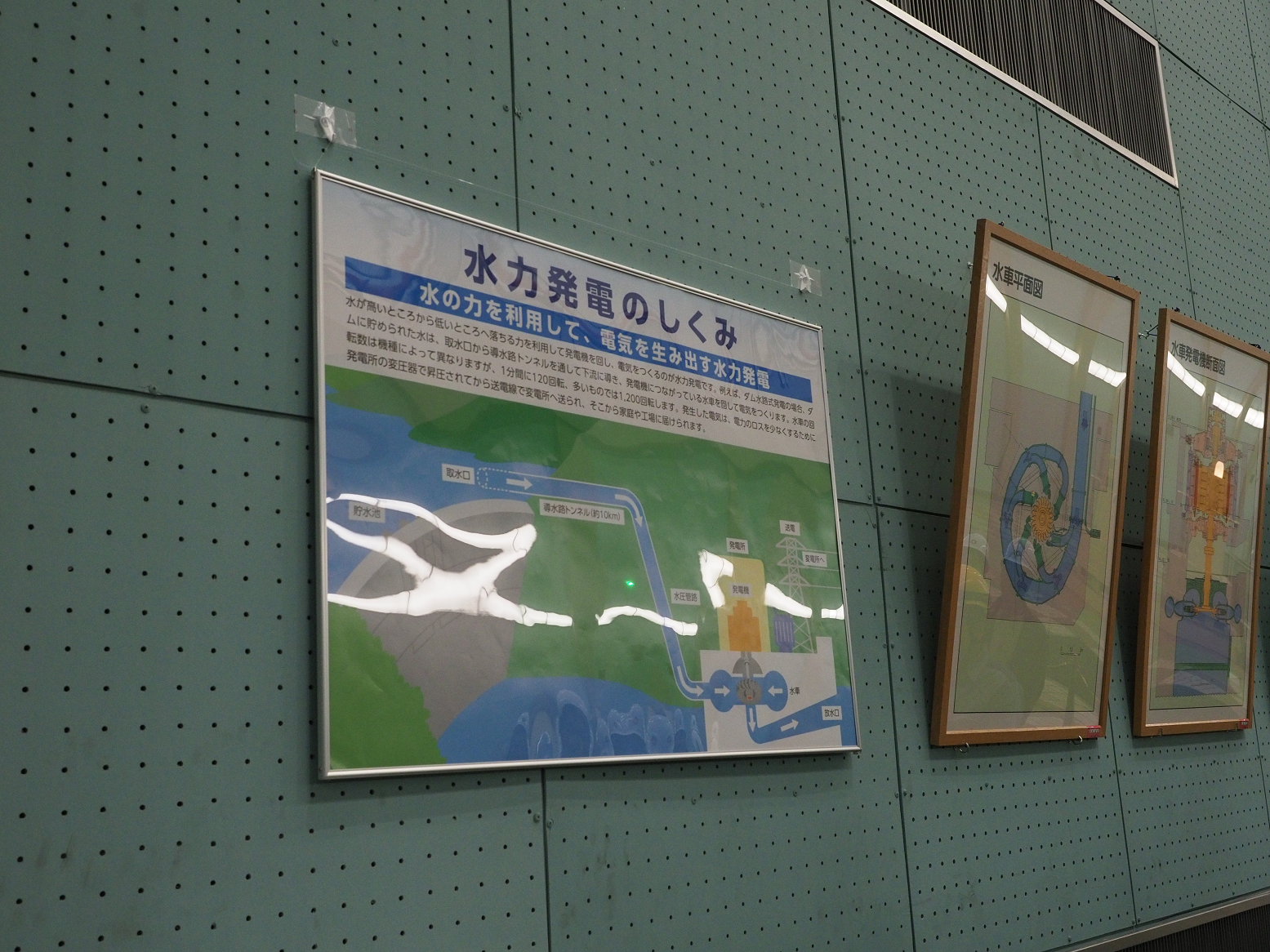 P5300466.jpg