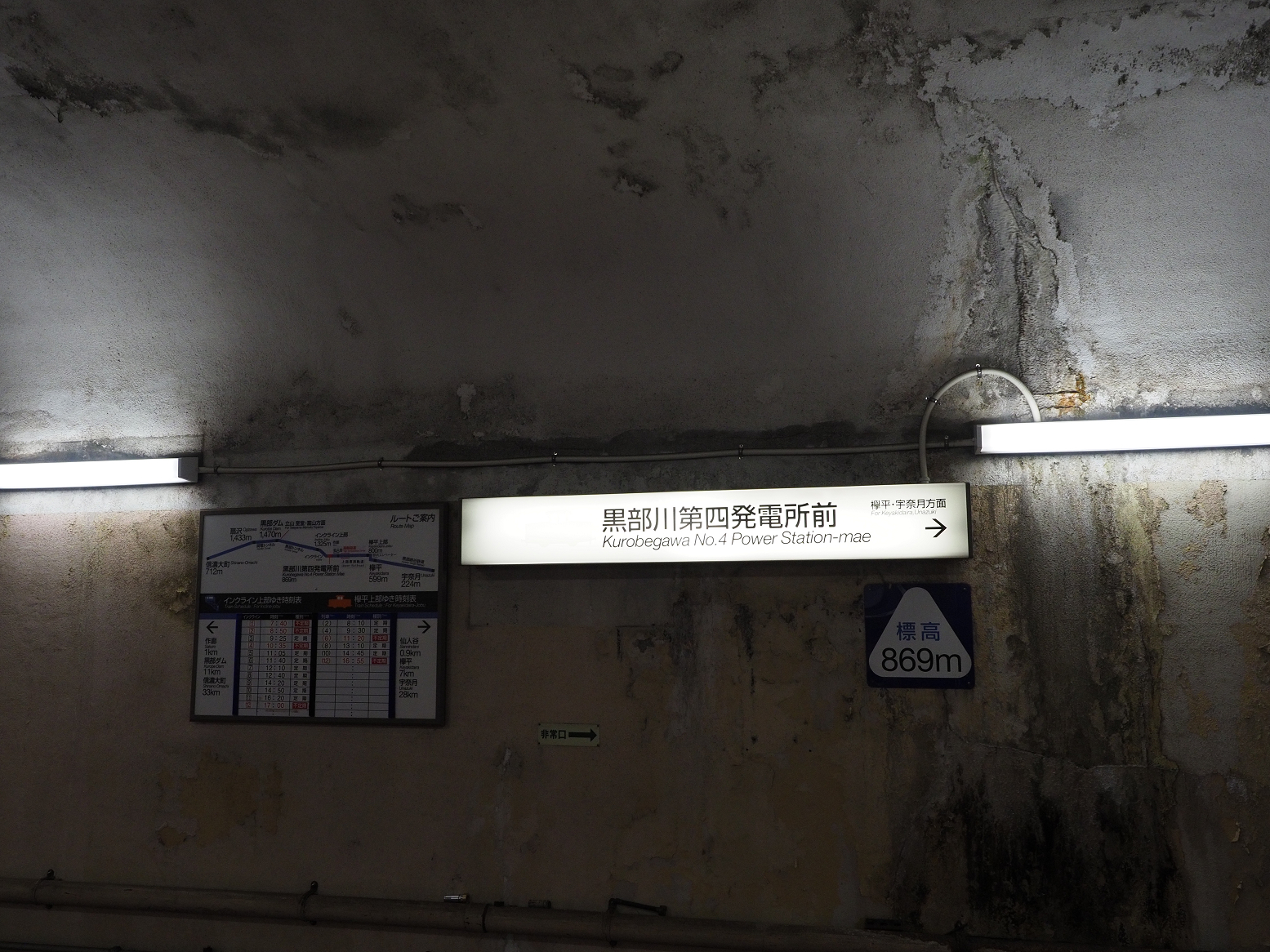 P5300550.jpg