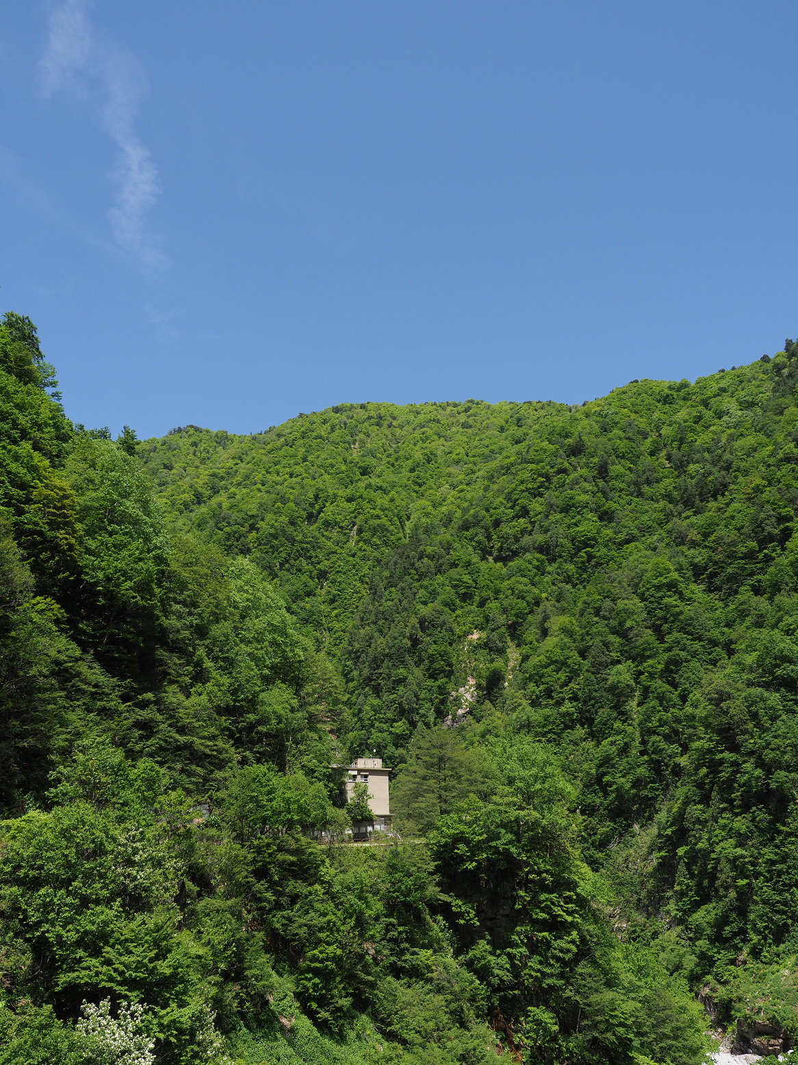 P5300600.jpg