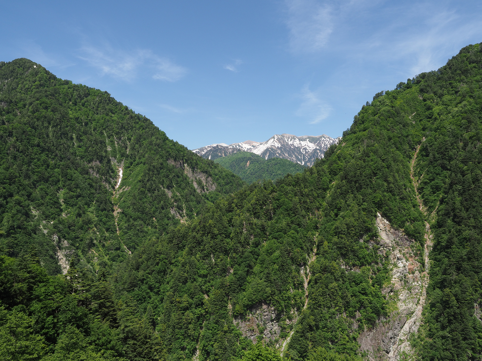 P5300664.jpg