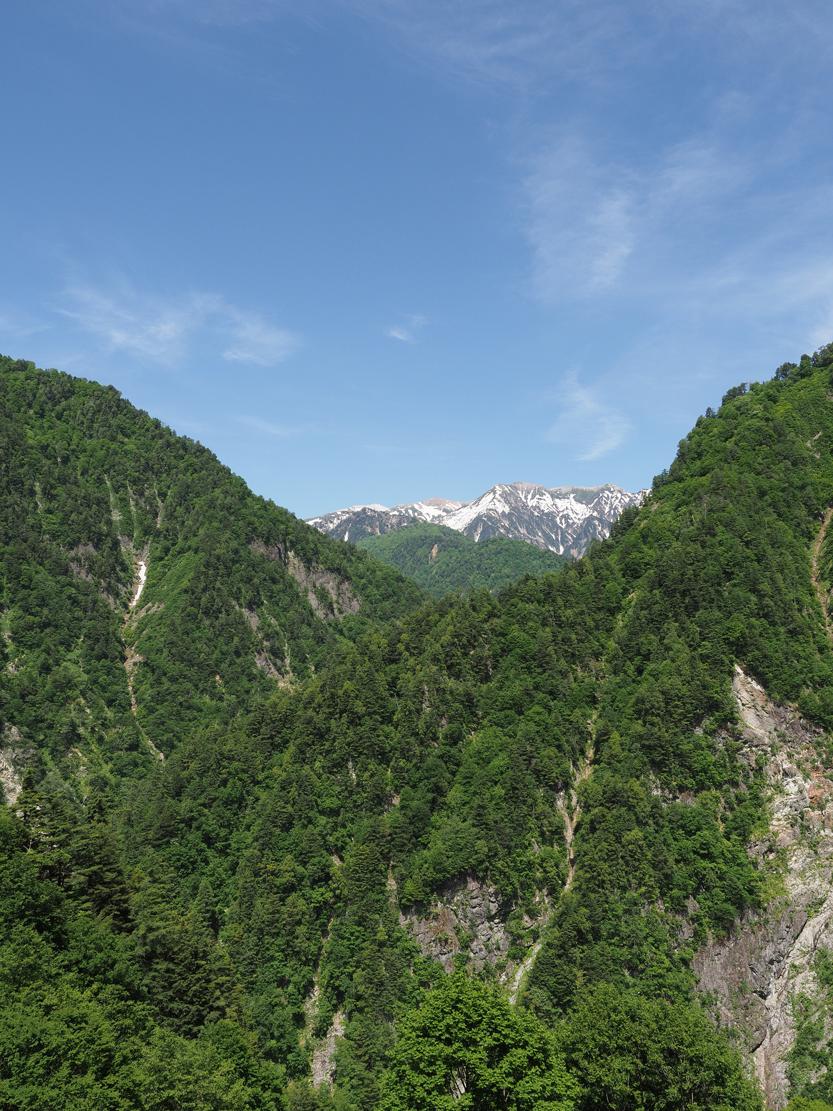 P5300665.jpg