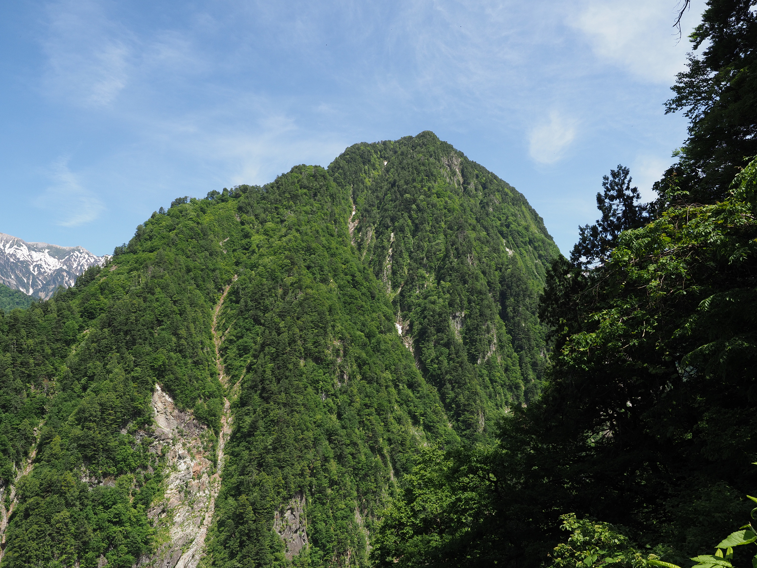 P5300666.jpg